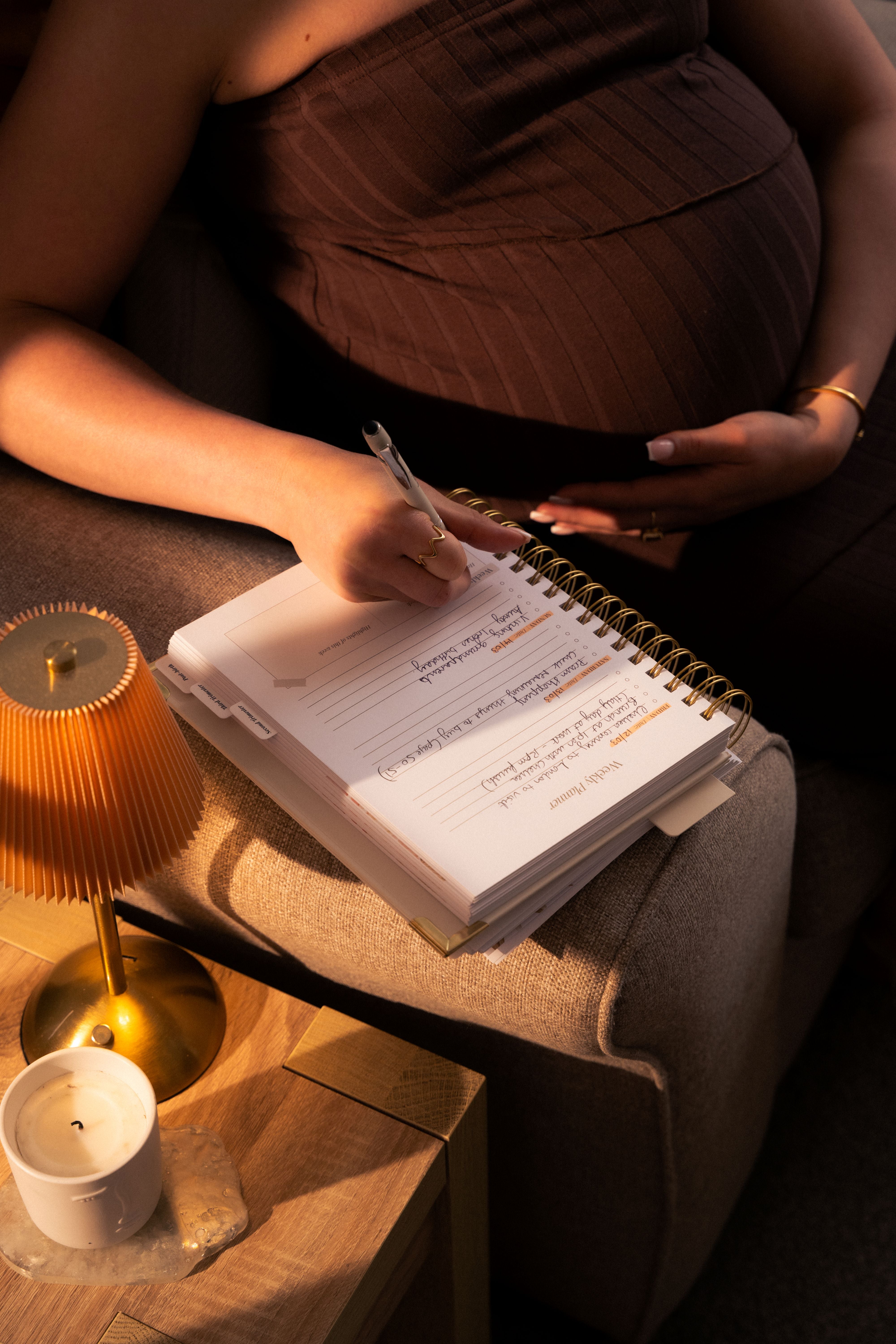 The Pregnancy Planner